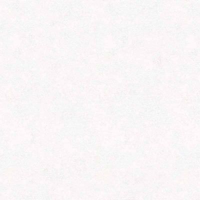 Papel de Parede New Textures Textura Branco NT32507