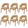 Kit 06 Cadeiras de Jantar e Estar Living Estofada Lince L02 Bouclê Mostarda - Lyam Decor
