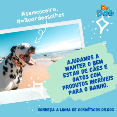 Perfume Pet Hipoalergenico Dr Dog Carinho Bom Amadeirado 120 mL Cães Gatos Banho e tosa