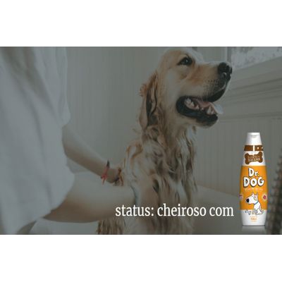 Shampoo Clareador Branqueador  cachorro gato Dr. Dog 350ml hipoalergênico cheiroso