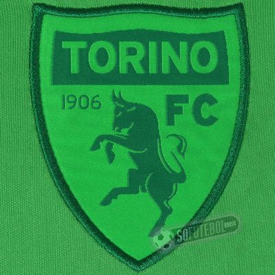 Camisa Torino - Goleiro (#ForçaChape) P (S)
