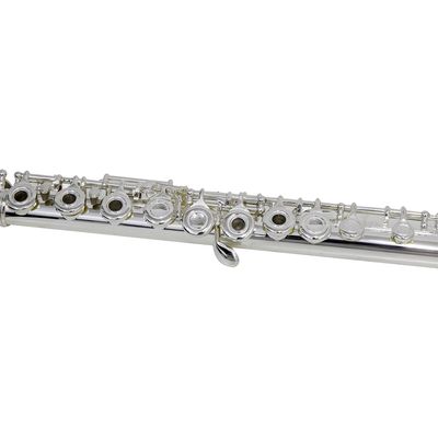 Flauta Transversal FL 210ES Prateada com Case New York