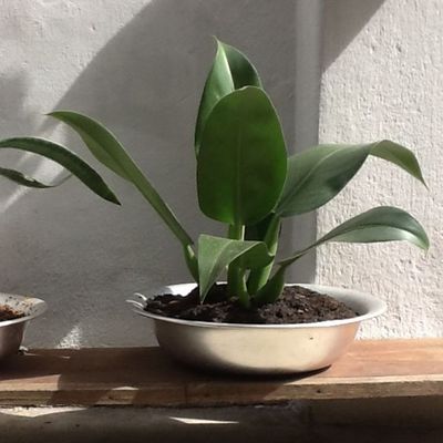 Bacia de Alumínio Redonda Para Banho Assento e Cozinha 9cm