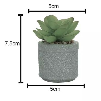Arranjo com Suculenta Round Cachepot Cimento Urban 8cm Cinza