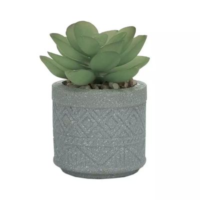 Arranjo com Suculenta Round Cachepot Cimento Urban 8cm Cinza