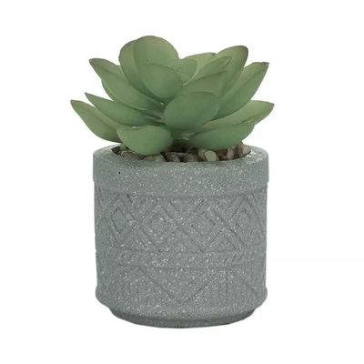 Arranjo com Suculenta Round Cachepot Cimento Urban 8cm Cinza