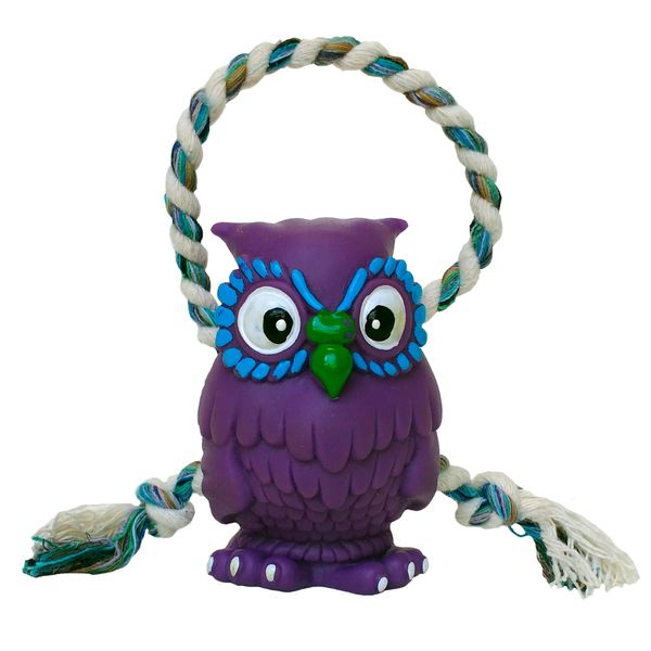 Brinquedo Pet Coruja com Corda - Tudo em Caixa