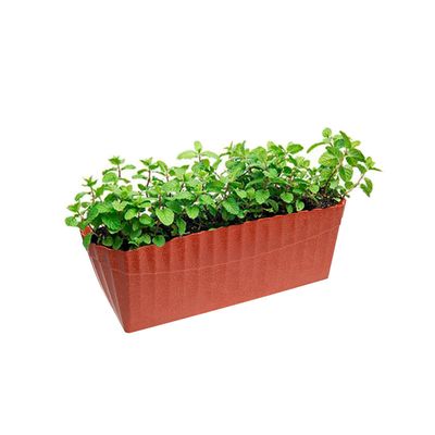 Vaso Floreira Terracota Marrom Coral Cachepot Plissado 1un