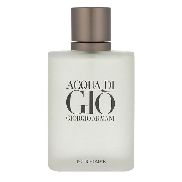 ACQUA DI GIO EAU DE TOILETTE 100ML PERFUME MASCULINO IMPORTADO Único / Incolor