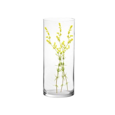 Vaso Cilindro Vidro 14x30cm