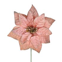 Pick Flor Bico de Papagaio Grillo Veludo Rosé Gold
