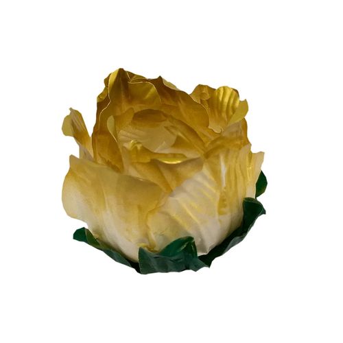 5116486_00000_01