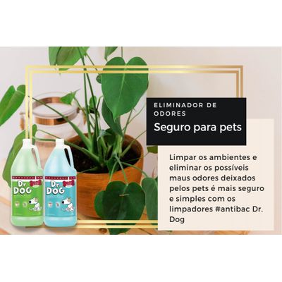Eliminador de maus odores e higienizador pet Dr. Dog Soneca Bamboo 2 litros concentrado