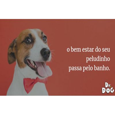 máscara hidratação cães gato Dr. Dog óleo coco pele sensível