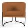 Poltrona Decorativa Fixa Base de Aço Preto Betina D02 Veludo Telha C-262 - Lyam Decor
