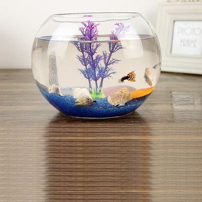 Vaso Aquario De Vidro Vaso Redondo 2 L