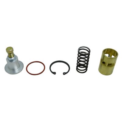Reparo Válvula Termostática Schulz Srp3015 2030 2040 2050 3030 3075 1020 1025 1040 1050 1075 Ta20 Ta25 Ta40 Ta50 Ta75 4030 4040 1"