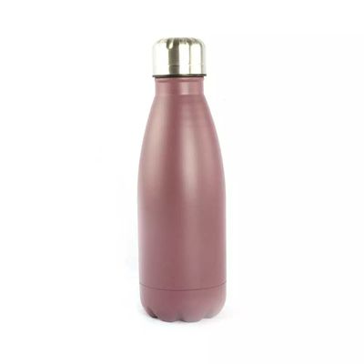 Garrafa Squeeze Le Colore Inox Lilás 500ml