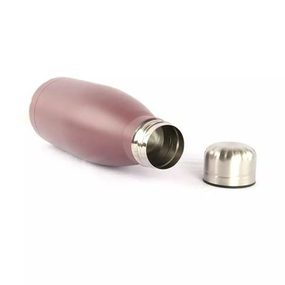 Garrafa Squeeze Le Colore Inox Lilás 500ml