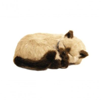 Brinquedo De Pelúcia Que Respira Perfect Petzzz Acompanha Pilha Gato Siâmes