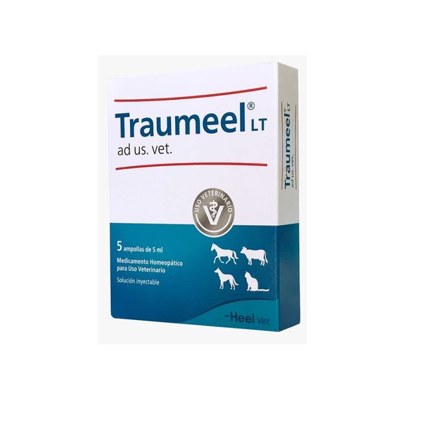 Traumeel Injetável Uso Veterinário - 5 ampolas de 5 ml