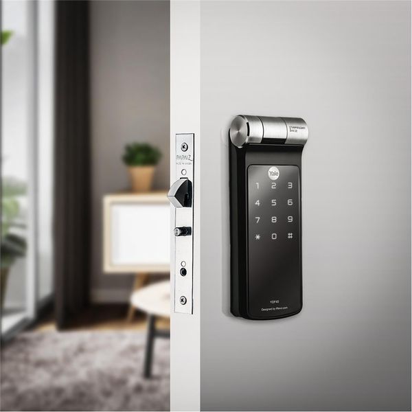 16945419267248 16945419267248