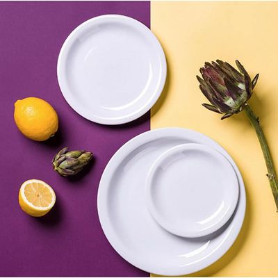 Aparelho Jogo de Jantar Cha Porcelana 20 Peças Iguaçu Germer