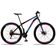 Bicicleta Bike Aço Aro 29 Suspensão Dianteira 21 Velocidades Freio A Disco Azul E Rosa