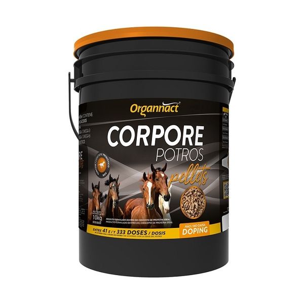 17280658853943 17280658853943