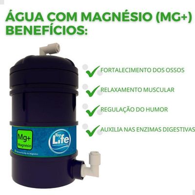 Purificador De água Alcalina Ionizada Ozônio E Magnésio Mg+ Voltagem:127v;cor:prata