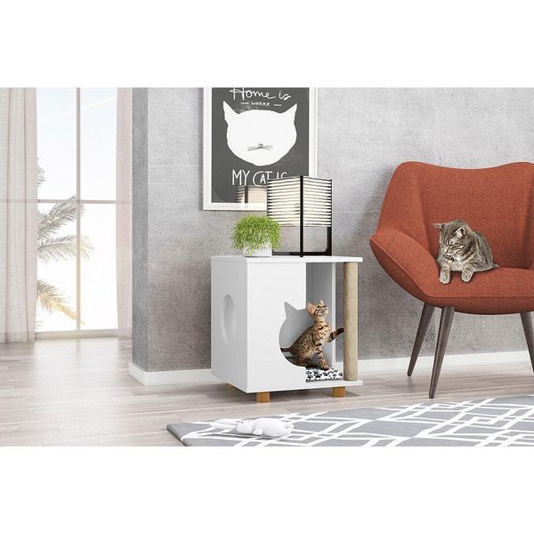 17279995528384 17279995528384