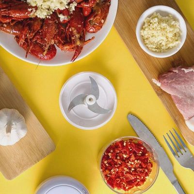 Mini Processador Moedor Elétrico Alho Sem Fio Alimentos Usb