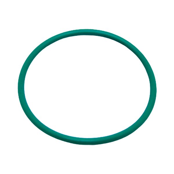 17266421662644 17266421662644