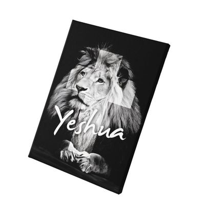 Quadro Placa Decorativa - Yeshua Leão - 30x45cm
