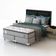 Conjunto Box Queen Mola Probel Roma (158x198x56cm)