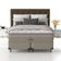 Conjunto Box Queen Mola Prodormir Sensitive Ômega (158x198x58cm)
