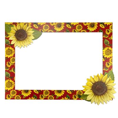 Moldura Junina para Selfie Litoarte - Item Sortido