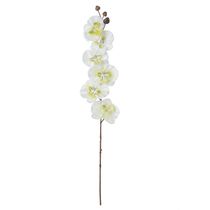 Haste Orquídea Florarte 63cm Cetim Branca
