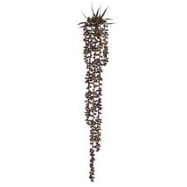 Pendente Suculenta Florarte 72cm 5 Galhos Marrom