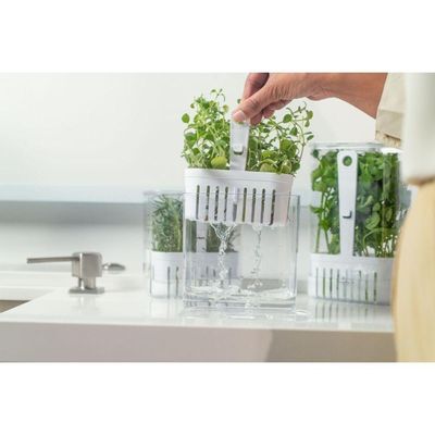 Organizador De Temperos Com Cesto Clear 1,5l 10x14,5x15cm