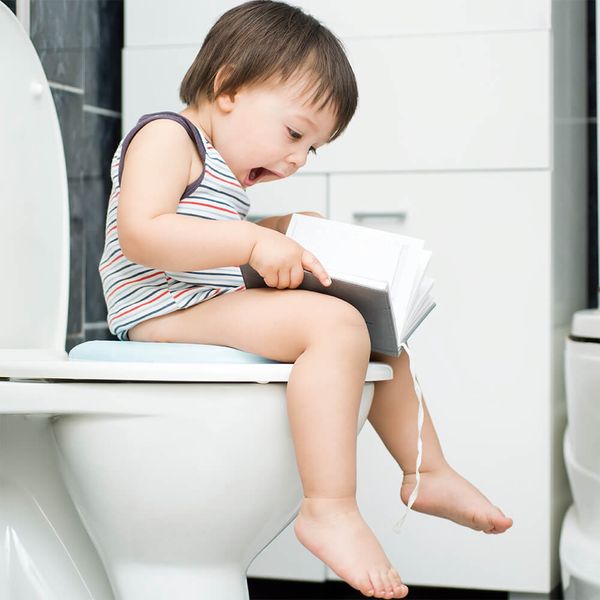 Redutor Sanitário Dobrável Comfort Seat Multikids Baby - BB158 BB158
