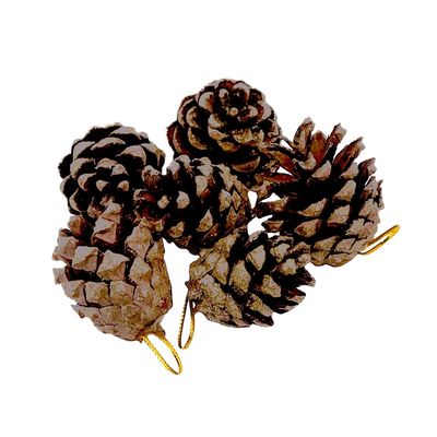 Enfeite Para Árvore de Natal Le Pinha com 6 Unidades Natural