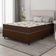 Cama Box Casal Colchão Espuma D33 Marquês 138X188X57Cm Marrom Umaflex - Suporta Até 90Kg Por Pessoa