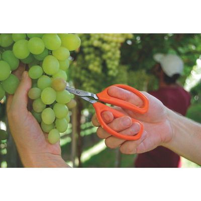 Tesoura Para Frutas Tramontina Com Laminas Em Aço Inox