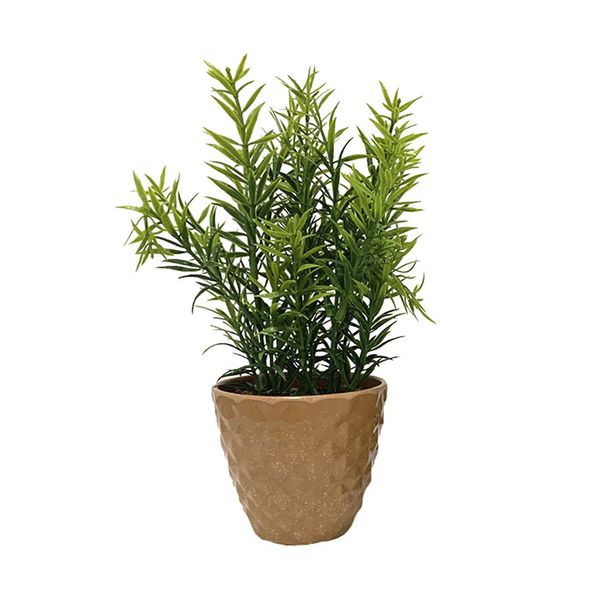 5108537_41545_01 5108537_41545_01