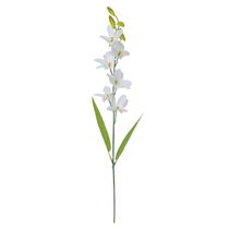 Haste Orquídea Dendrobium Florarte 62cm Branca