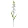 Haste Orquídea Dendrobium Florarte 62cm Branca
