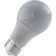 Lâmpada Bulbo Led 9w 6500k E27 Bivolt Luminatti