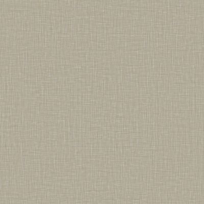 Papel de Parede Criativo Textura Bege CR333306R
