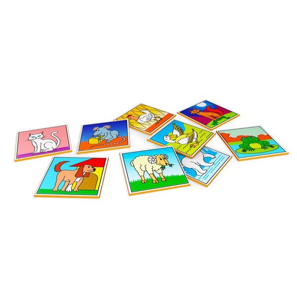 17292427611795 17292427611795